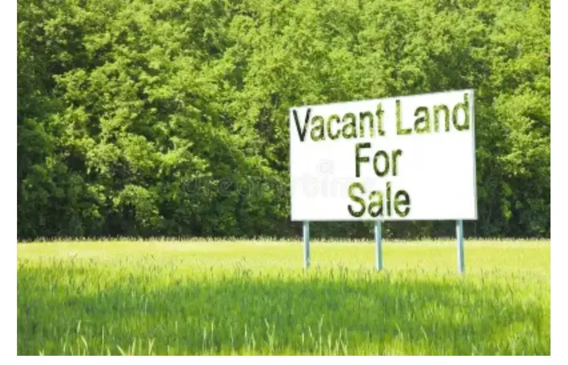 0 Us Highway 62/82, Ralls, TX 79357 - Image #1