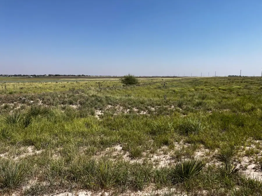 11314 County Road 7000, Wolfforth, TX 79382 - Image #2