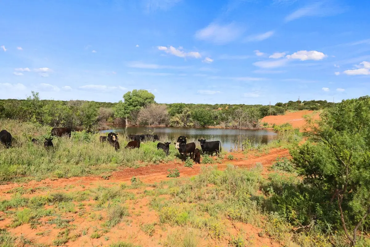 1441 County Road 362, Dickens, TX 79229 - Image #1