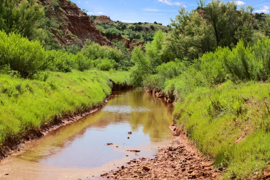 1441 County Road 362, Dickens, TX 79229 - Image #2