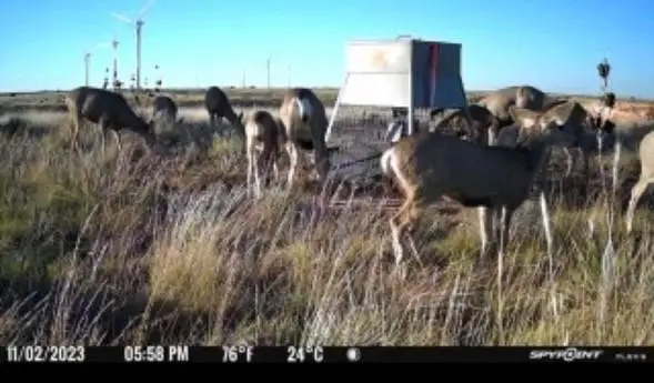 397 County Road 160, Southland, TX 79364