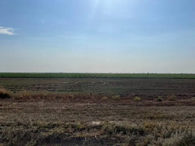 13403 N Fm 400, Idalou, TX 79329 - Image #2