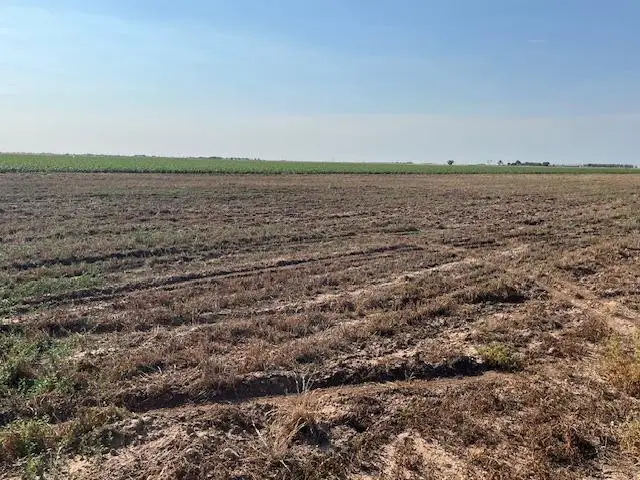 13403 N Fm 400, Idalou, TX 79329 - Image #3