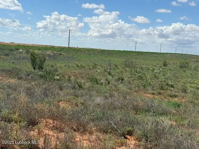 0 County Road 430, Brownfield, TX 79316 - Image #2