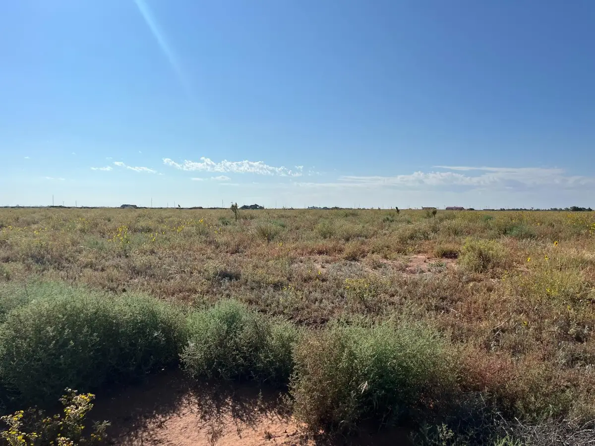 0 Us Highway 385, Levelland, TX 79336 - Image #1