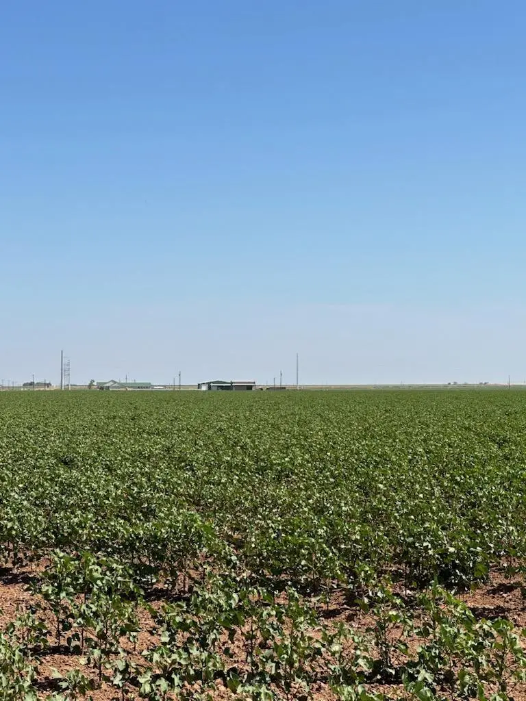 0 Fm 2192, Wilson, TX 79381 - Image #2