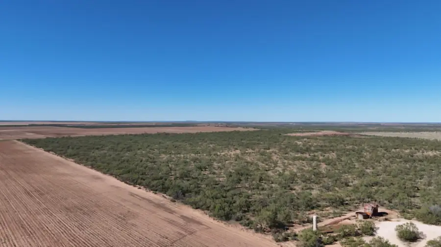 0 Cr 3186, Colorado City, TX 79512 - Image #2