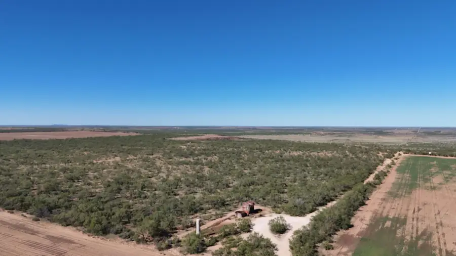 0 Cr 3186, Colorado City, TX 79512 - Image #3