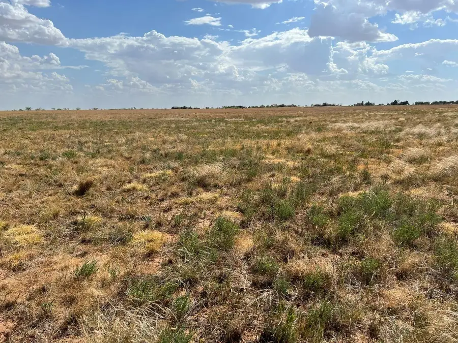 4111 County Road 5300, Abernathy, TX 79311 - Image #2