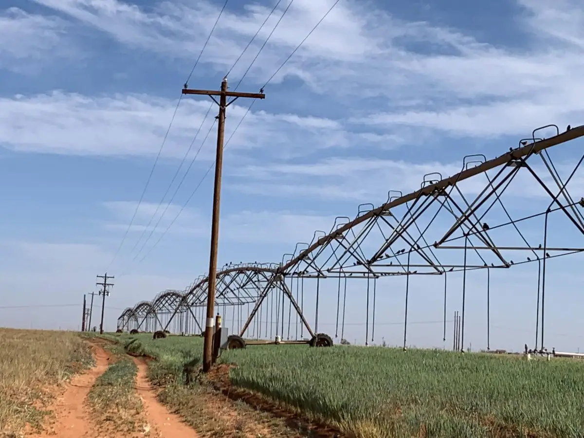 0 Tiger, Ropesville, TX 79358 - Image #1