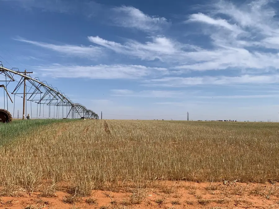 0 Tiger, Ropesville, TX 79358 - Image #2