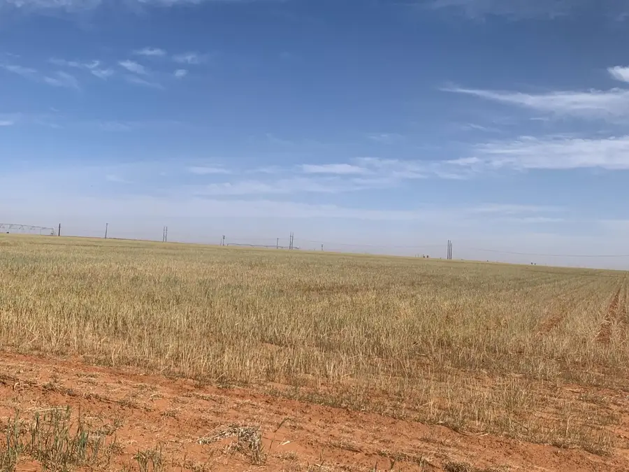 0 Tiger, Ropesville, TX 79358 - Image #3