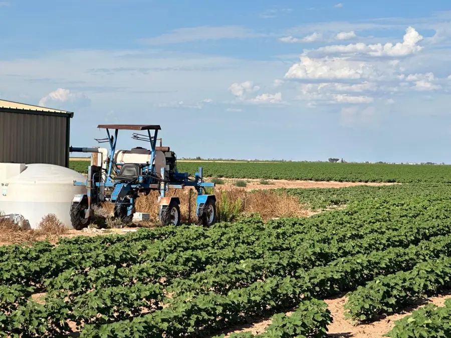 4083 Hawk Road, Ropesville, TX 79358 - Image #3