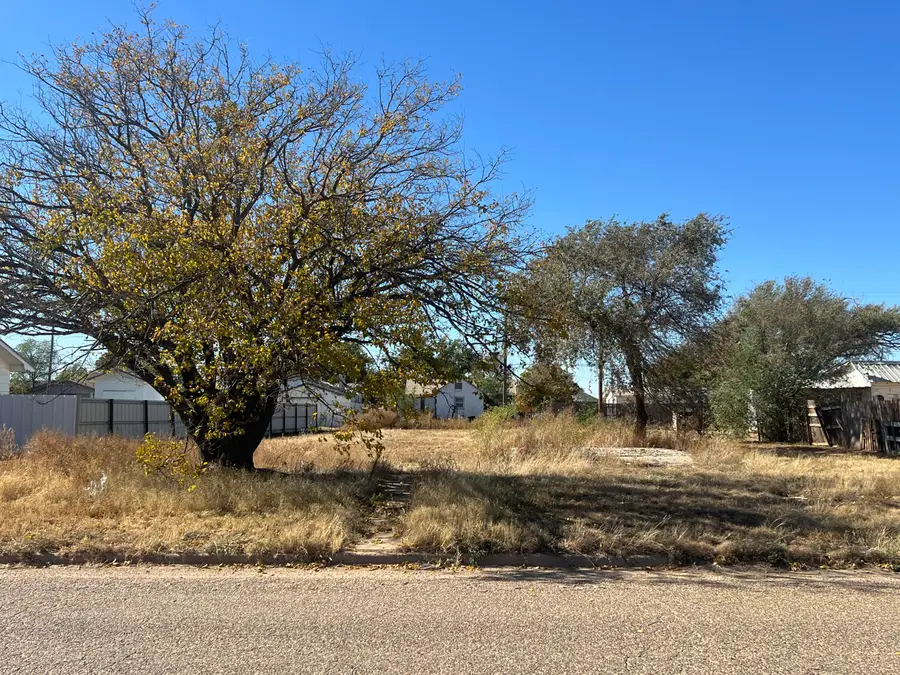 229 N Durham Avenue, Crosbyton, TX 79322 - Image #3