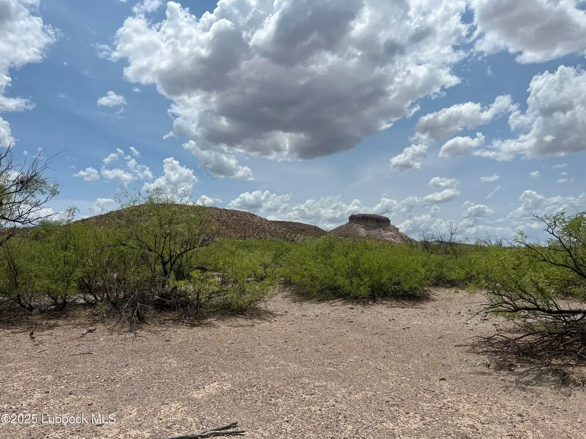Lots 25-31 Sec 65 Block 2 T&p Presidio County, Presidio, TX 79845 - Image #1