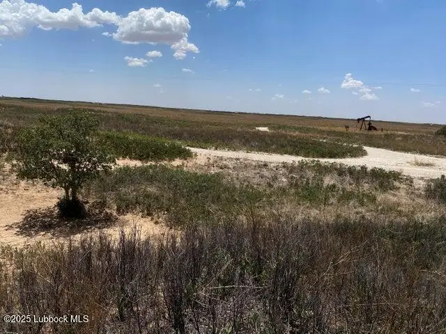 1585 Co Rd 95, Morton, TX 79346 - Image #2