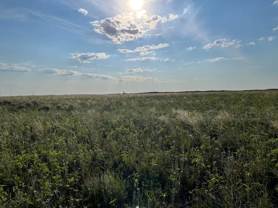 1585 Co Rd 95, Morton, TX 79346 - Image #3