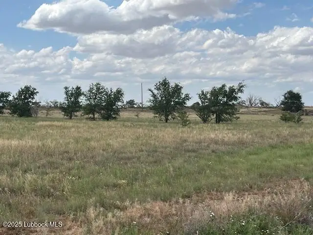 10412 Private Rd 5860, Shallowater, TX 79363 - Image #2