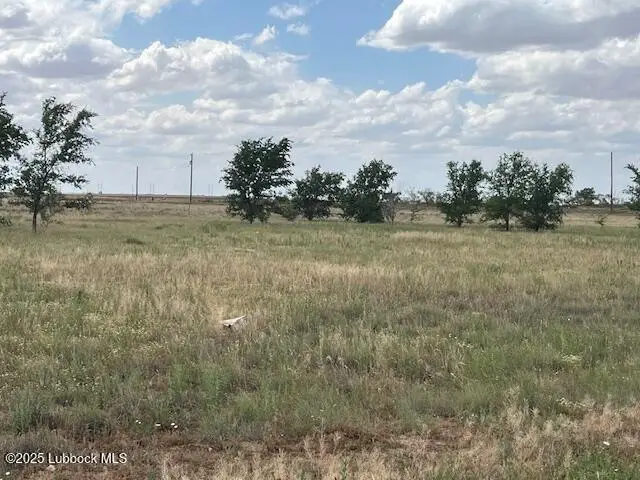 10412 Private Rd 5860, Shallowater, TX 79363 - Image #3