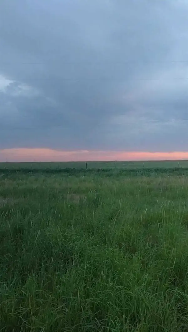 17024 N County Rd 1000, Shallowater, TX 79363