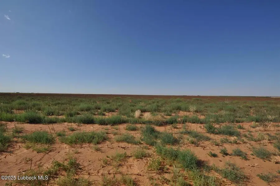 Tract 12 , N County Road 1200, Shallowater, TX 79363 - Image #2