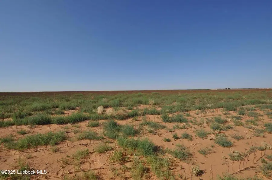 Tract 12 , N County Road 1200, Shallowater, TX 79363 - Image #3