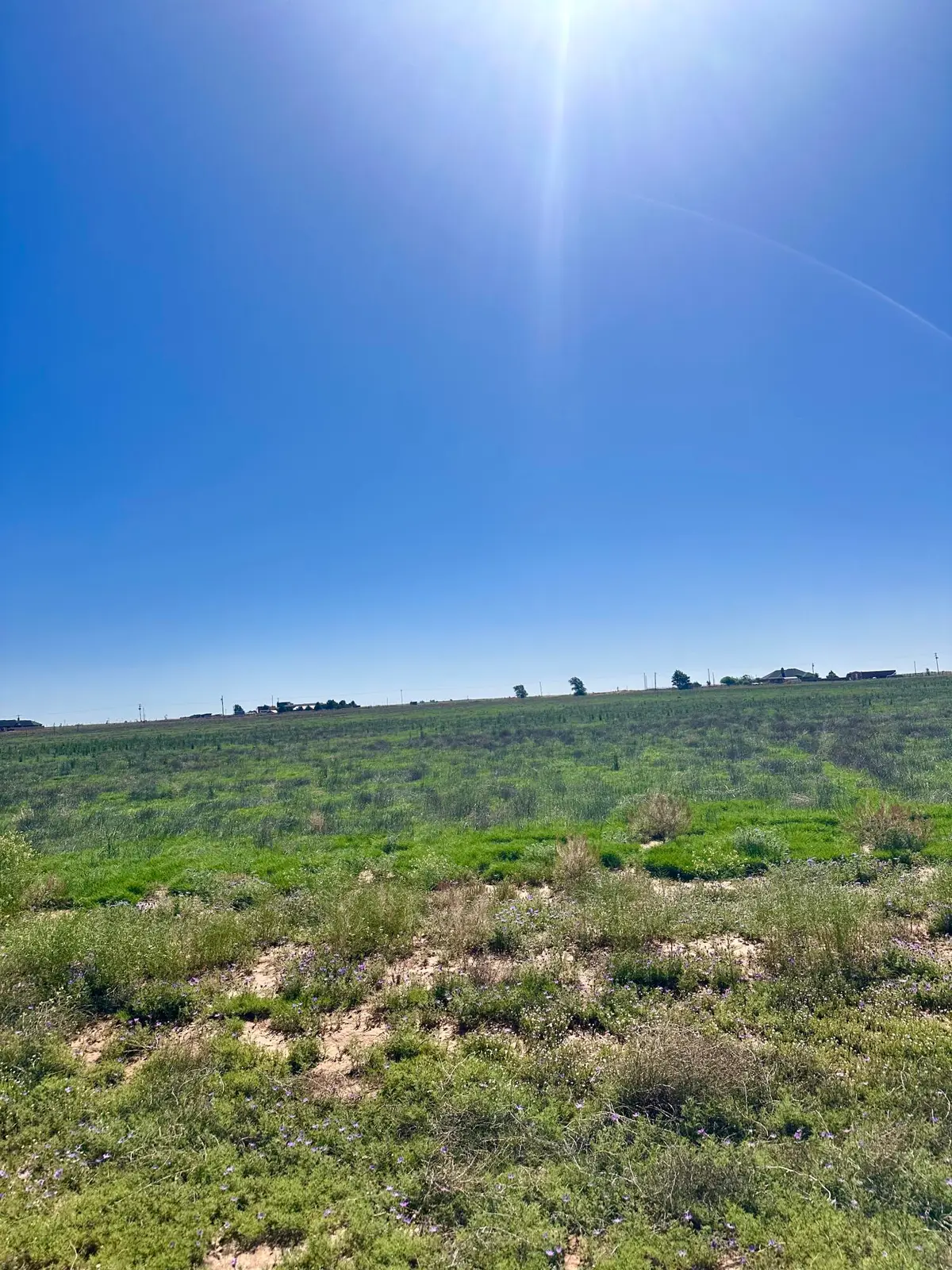 0 Private Road, Levelland, TX 79336 - Image #1
