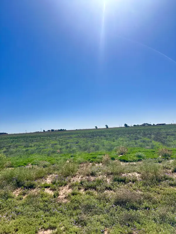 0 Private Road, Levelland, TX 79336