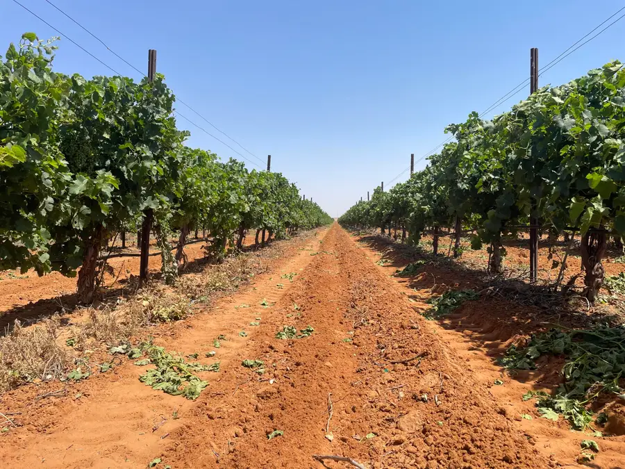 1 Us-380, Brownfield, TX 79316 - Image #3