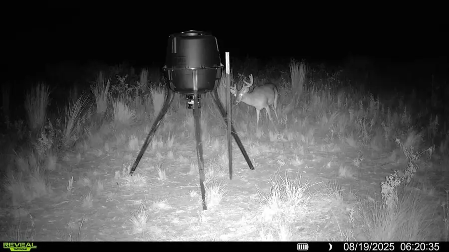 County Road 248 County Road 248, Dickens, TX 79229 - Image #3