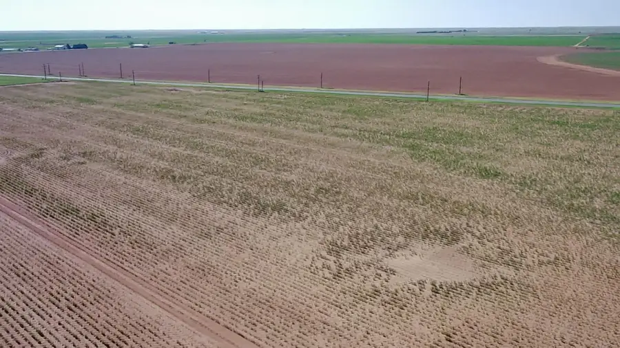 Tx-83, Welch, TX 79377 - Image #3