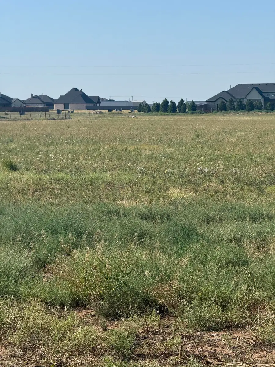 Lot 6 County Road L, New Home, TX 79383 - Image #3