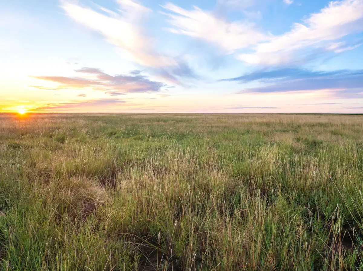 Cr 31, Sudan, TX 79371 - Image #1