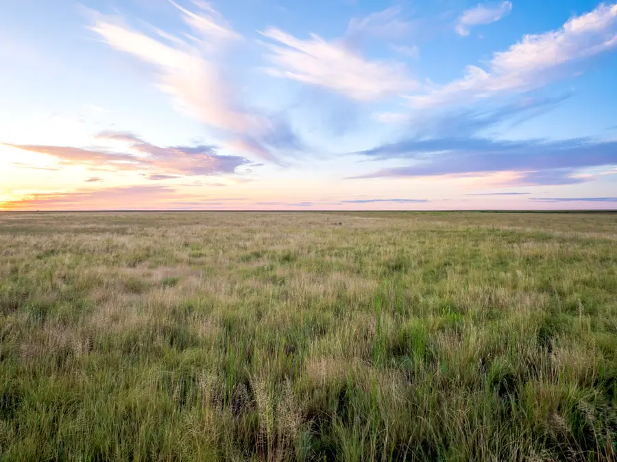 Cr 31, Sudan, TX 79371 - Image #2