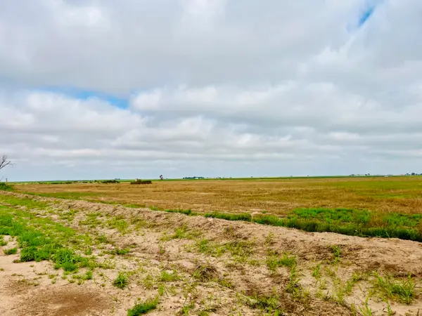 Mongoose Road, Levelland, TX 79336