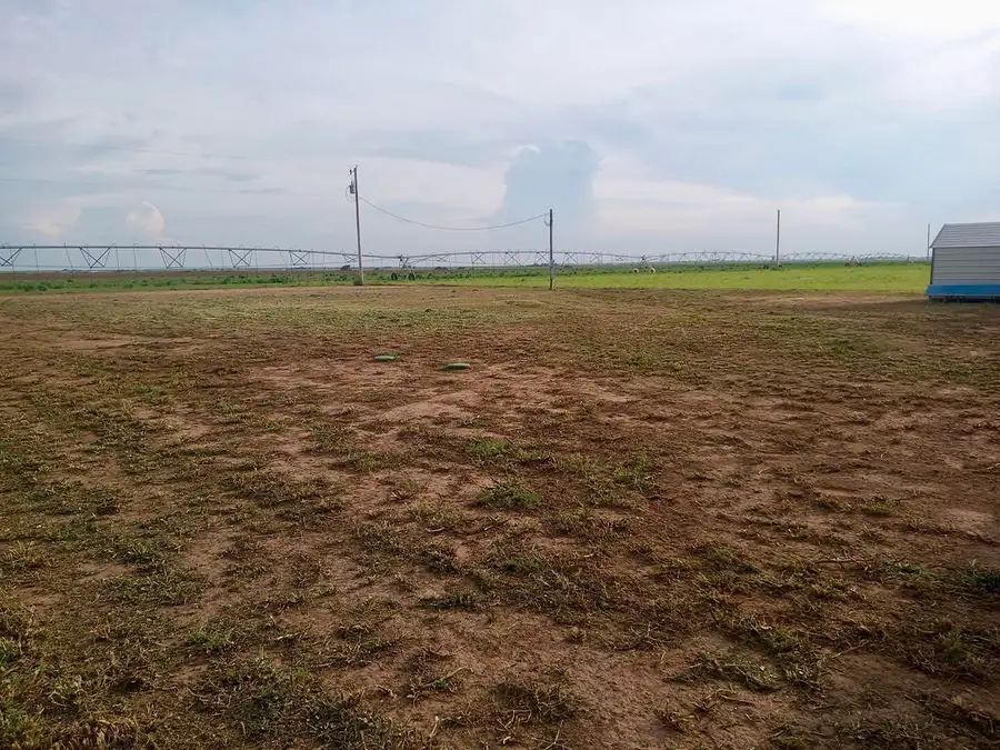 6896 S Bulldog Street, Anton, TX 79313 - Image #3