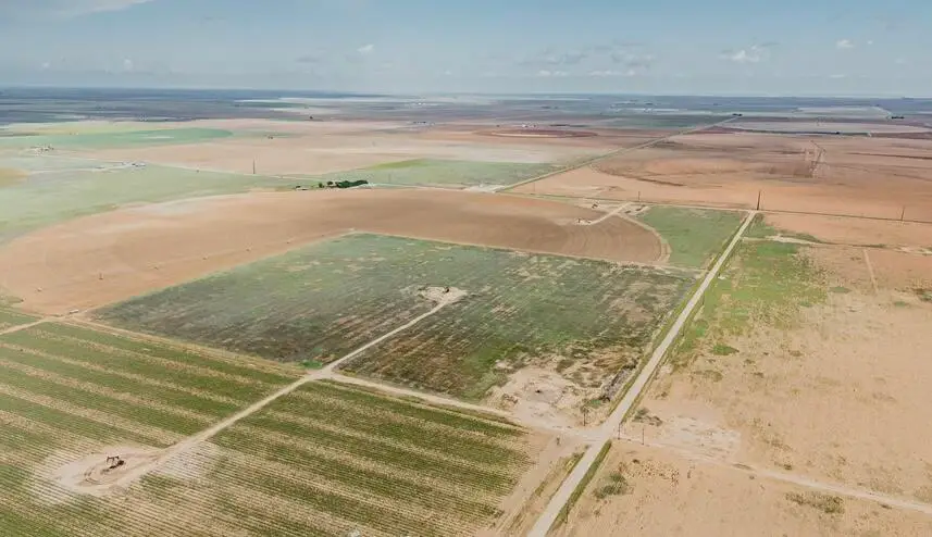 Smart Farms, Levelland, TX 79336 - Image #1