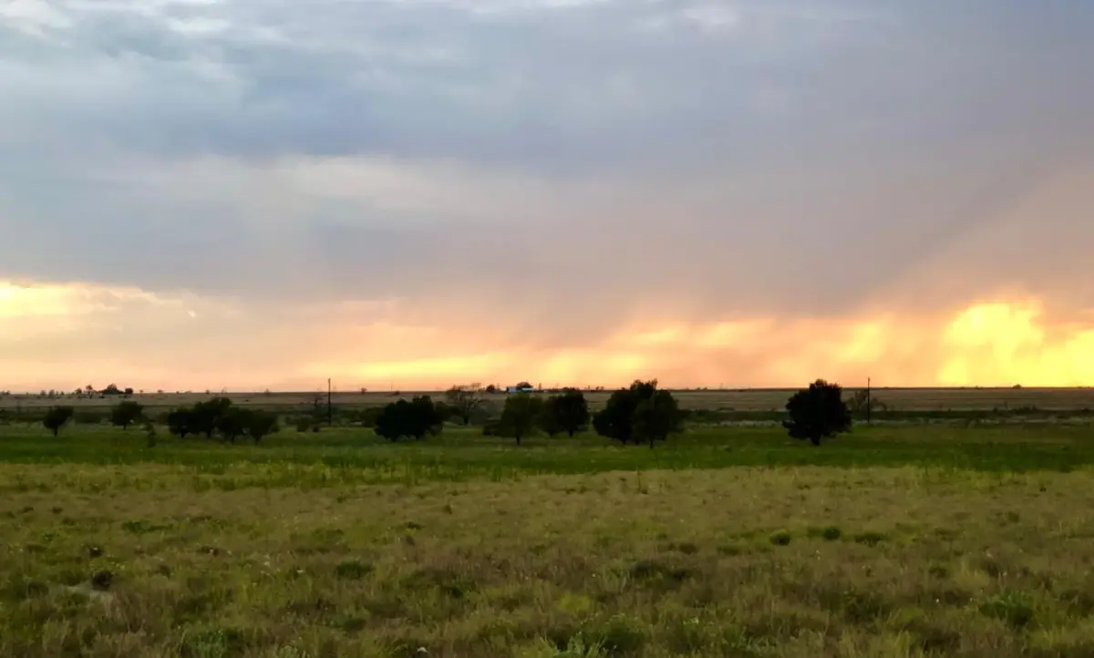 891 Rebecca, Shallowater, TX 79363 - Image #1