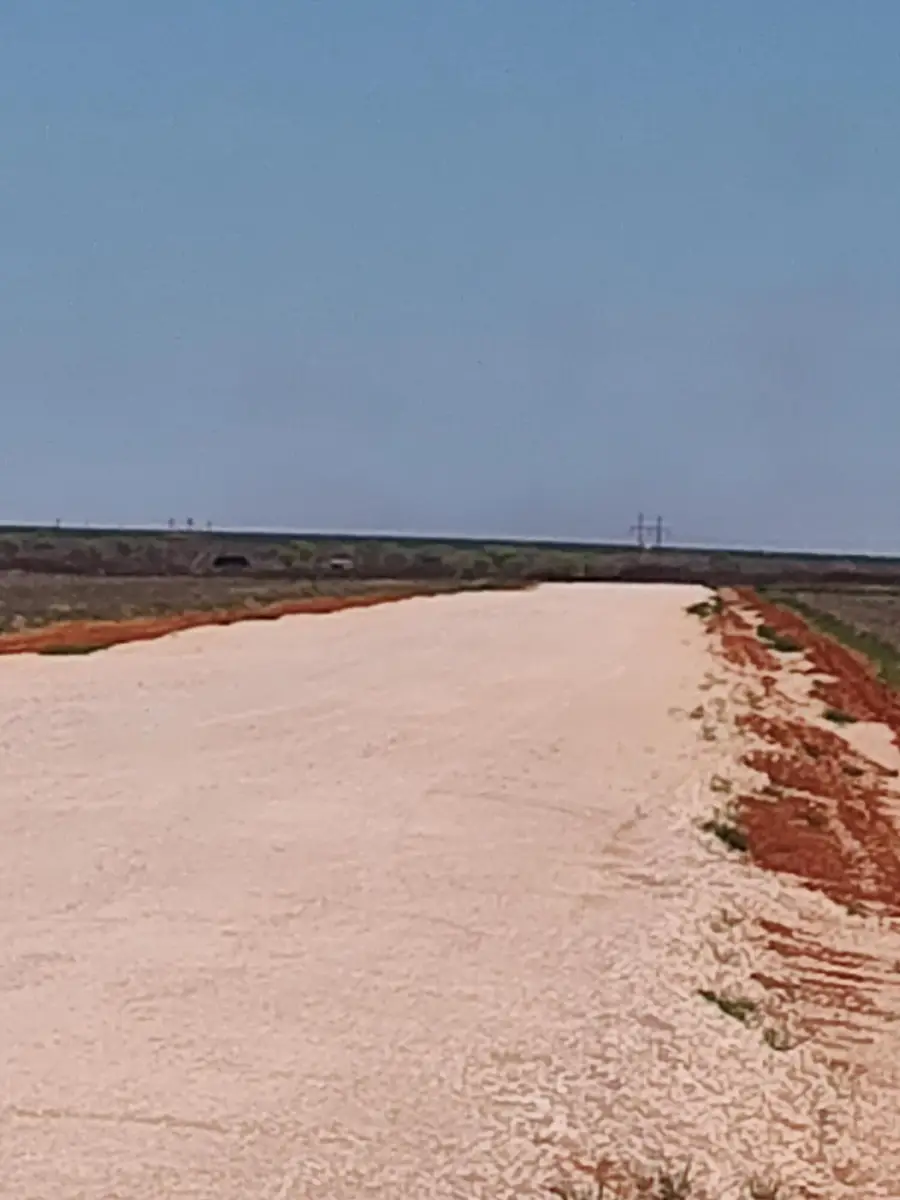 0 Lot 24, Cr 305, Wellman, TX 79316 - Image #3