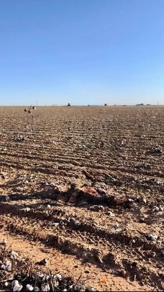 6437 & 6441 Cotton Country Road, Ropesville, TX 79358 - Image #1