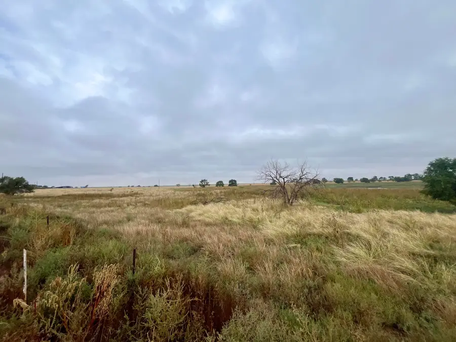 Hawaii Road, Anton, TX 79313 - Image #3