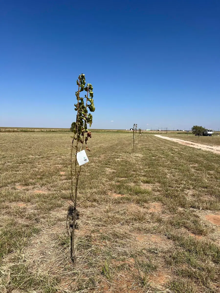 21704 County Rd 2340, Lubbock, TX 79423 - Image #2