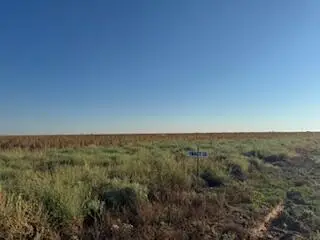 County Rd 1100, Shallowater, TX 79363