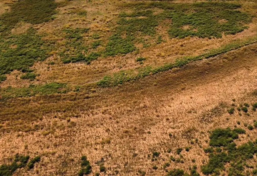 4707 E County Rd 6000, Idalou, TX 79329 - Image #3