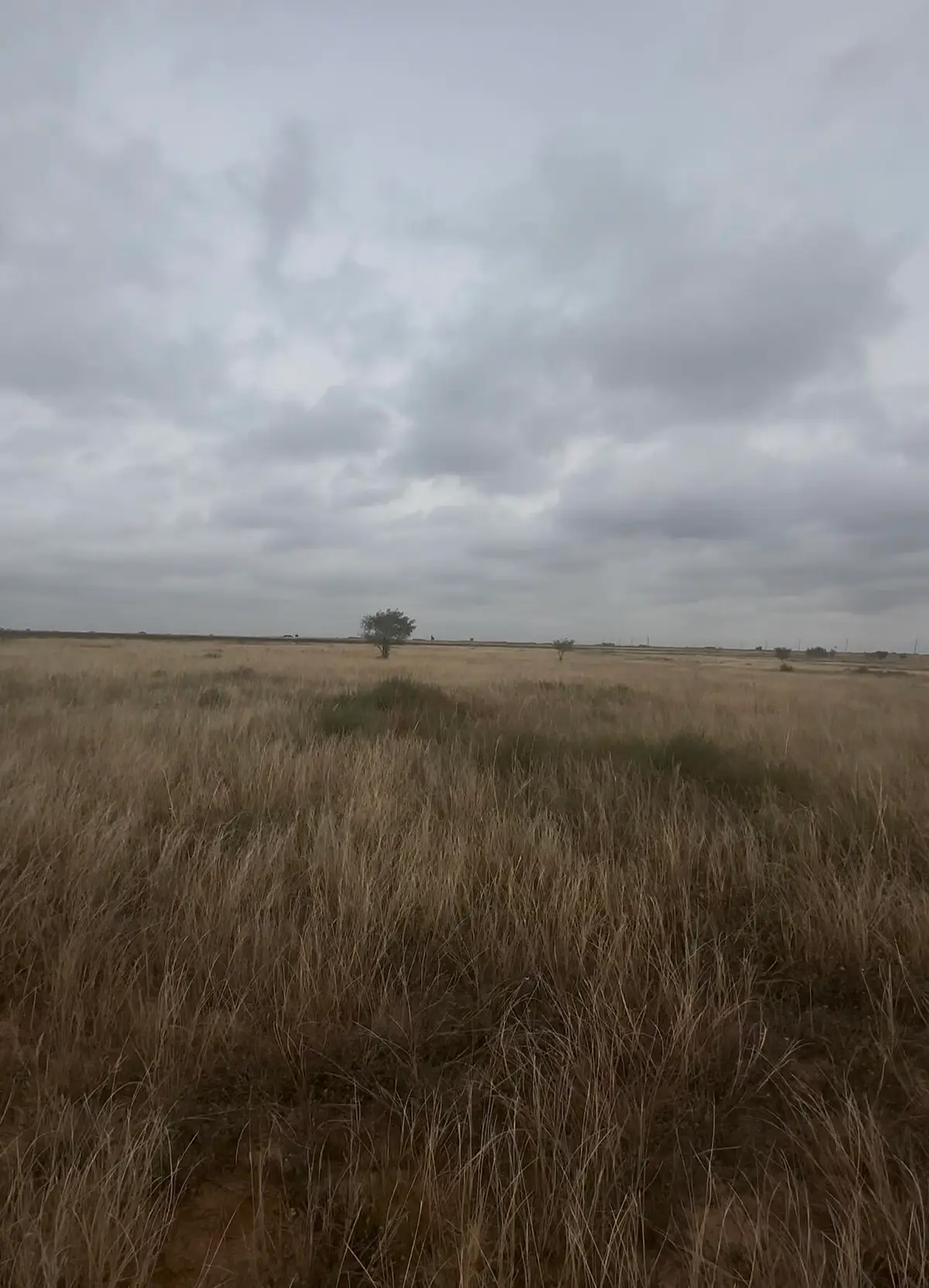 2308 Cr 5100, Abernathy, TX 79311 - Image #1