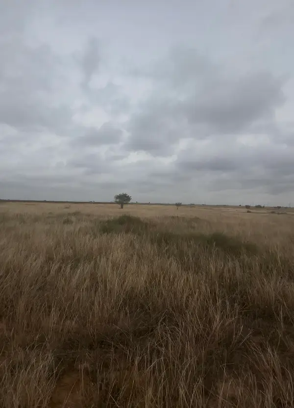 2308 Cr 5100, Abernathy, TX 79311