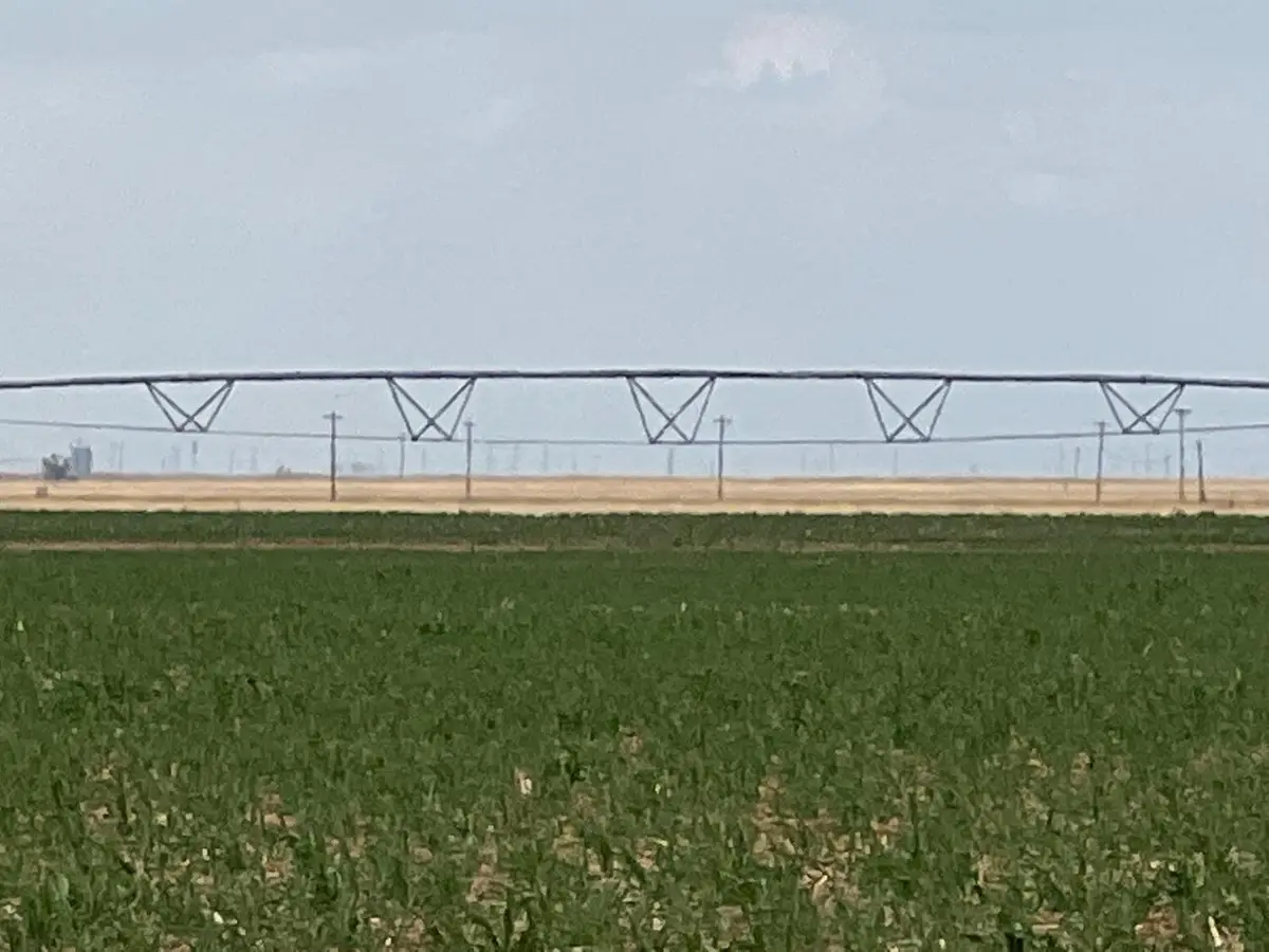 1711 Fm 194, Plainview, TX 79072 - Image #1