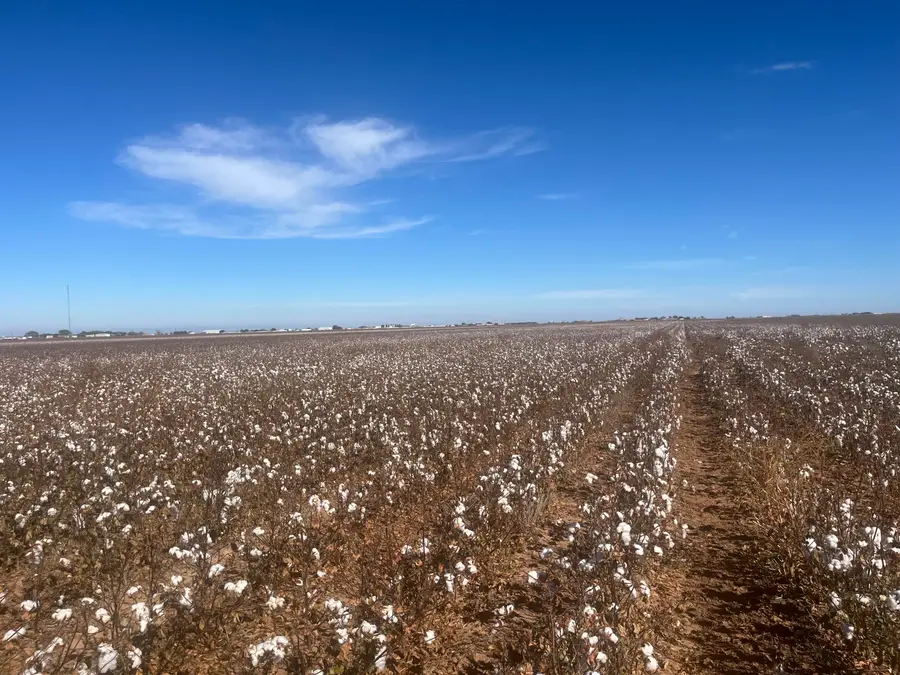 Co Rd 7900, Lubbock, TX 79423 - Image #2