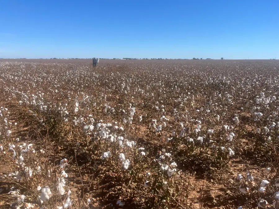 Co Rd 7900, Lubbock, TX 79423 - Image #3