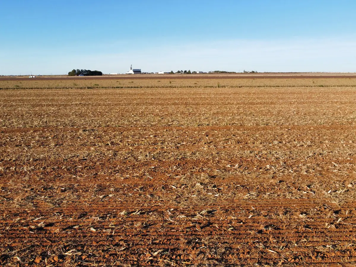 6653 Tiger Road, Ropesville, TX 79358 - Image #1